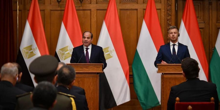 السيسي يدعو لإنهاء الصراع في قطاع غزة وتهيئة الظروف لمسار سياسي جاد