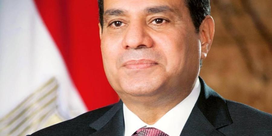 الرئيس السيسي يغادر بودابست عقب اختتام زيارته الرسمية إلى المجر