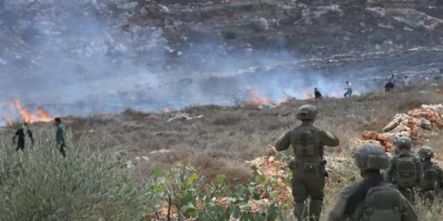 الضفة.. إصابة فلسطيني واعتقال اثنين في اعتداءات إسرائيلية على قاطفي زيتون