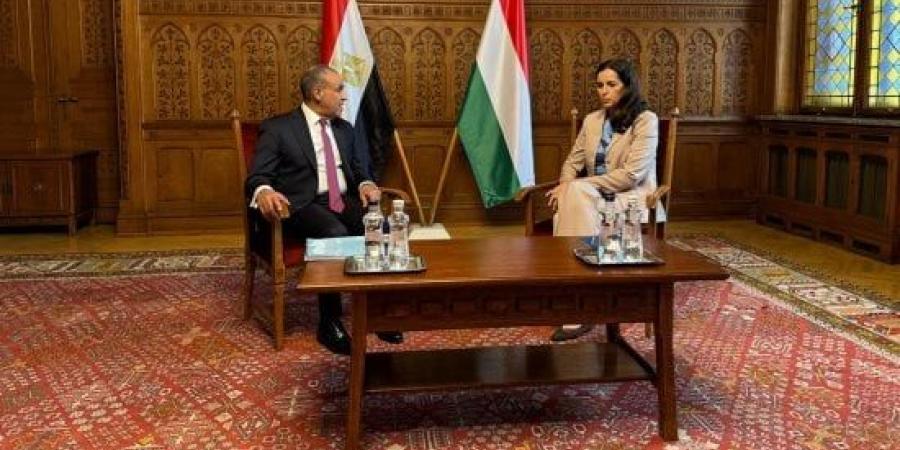 وزير الخارجية يبحث مع نظيرته المجرية العلاقات الثنائية والمستجدات الإقليمية :اليوم السابع