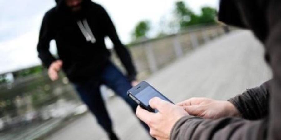 ضبط عاطلين خطفا هاتف محمول من فتاة بأحد شوارع مدينة أكتوبر :اليوم السابع