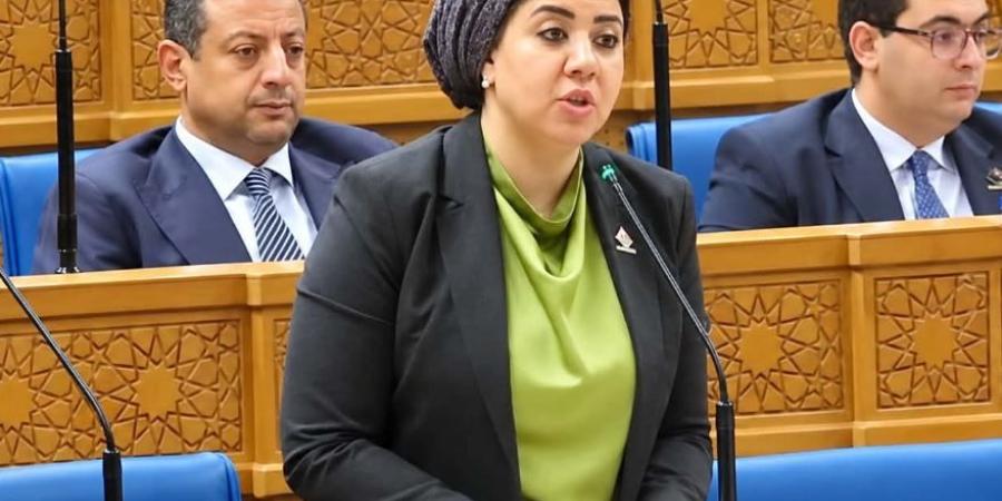 النائبة أميرة صابر تتقدم باقتراح لمواجهة شبكات الحسابات الوهمية على منصات التواصل