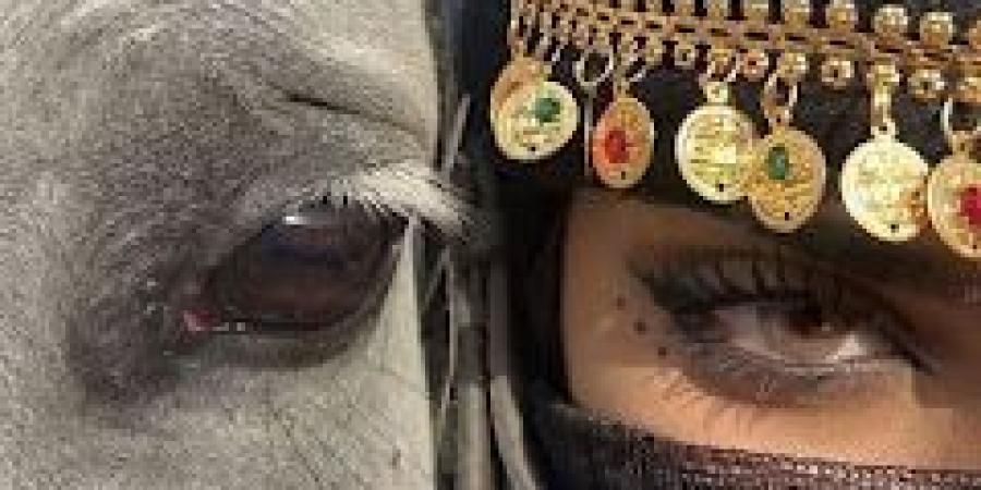 رواية فدى سكينة ( كاملة وحصرية حتي الفصل الاخير ) بقلم زينب سمير