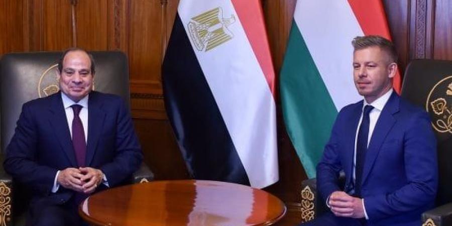 فخامة الرئيس السيسى: أمن الحدود وممرات التجارة الدولية ركيزتان أساسيتان لاستقرار أوروبا والشرق الأوسط وأفريقيا :اليوم السابع