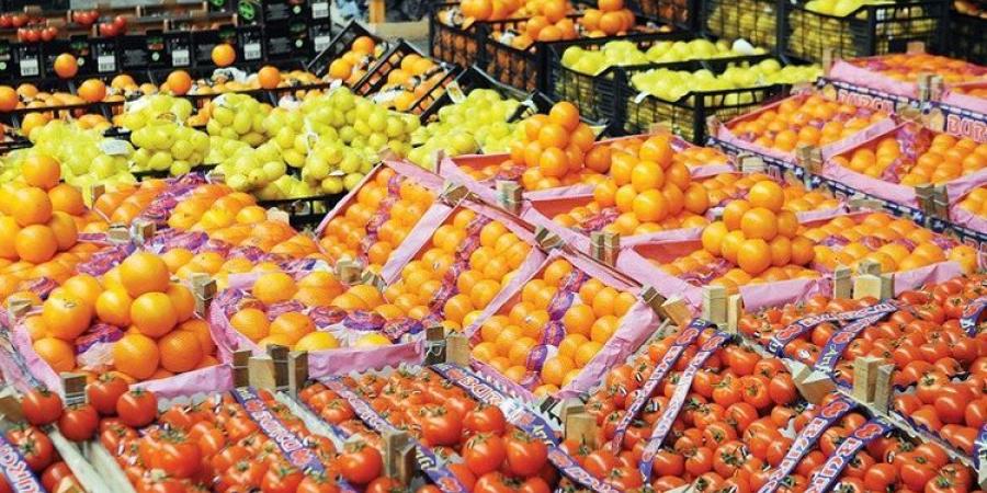 الصادرات الزراعية ترتفع إلى 9.3 مليون طن.. كم يستفيد المنتج الصغير من التصدير؟