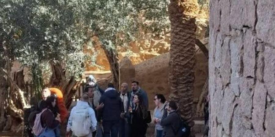 سانت كاترين تستقبل 460 سائحا لصعود جبل موسى وزيارة الدير :اليوم السابع