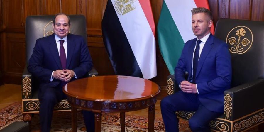الرئيس السيسي: لا سلام مستداما في الشرق الأوسط دون تسوية عادلة للقضية الفلسطينية.. ونرفض تهجير الفلسطينيين