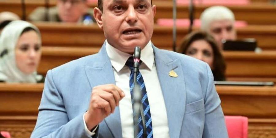 طلب مناقشة عامة بشأن دعم الصناعة وتعزيز الإنتاج المحلي لخفض فاتورة الاستيراد وتحقيق الأمن الاقتصادي