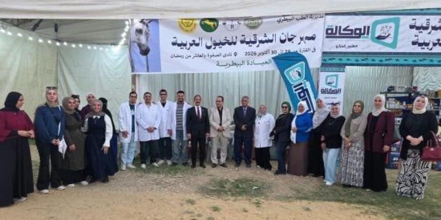 مدير مديرية الطب البيطرى بالشرقية: قدمنا خدمات متكاملة لرعاية الخيول المشاركة فى المهرجان :اليوم السابع