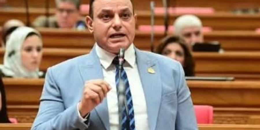 طلب مناقشة عامة بشأن دعم الصناعة وتعزيز الإنتاج المحلي لخفض فاتورة الاستيراد وتحقيق الأمن الاقتصادي