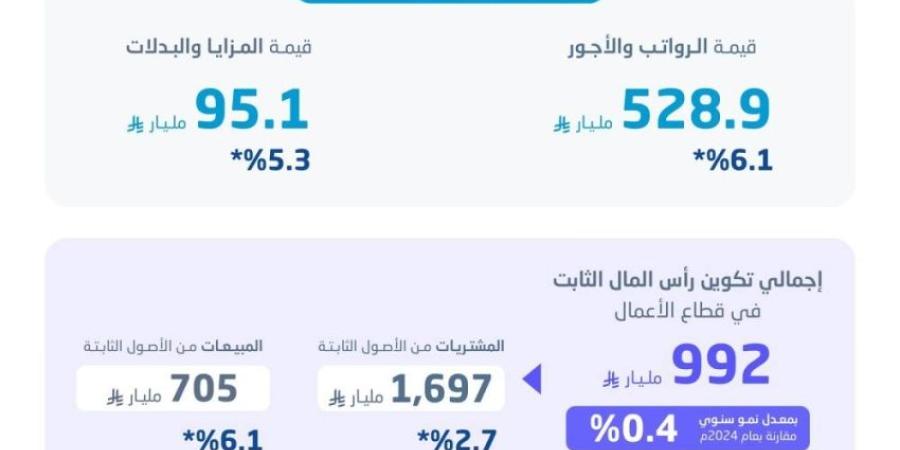 "الإحصاء": نمو الإيرادات التشغيلية لقطاع الأعمال بنسبة 2.3% خلال عام 2025