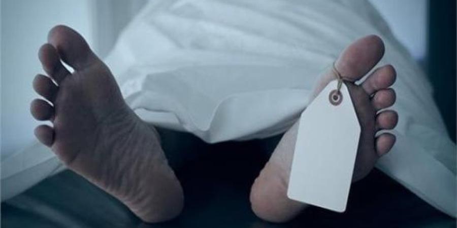 بسبب خلافات أسرية.. شاب ينهى حياة شقيقته بقرية شدموه فى الفيوم :اليوم السابع