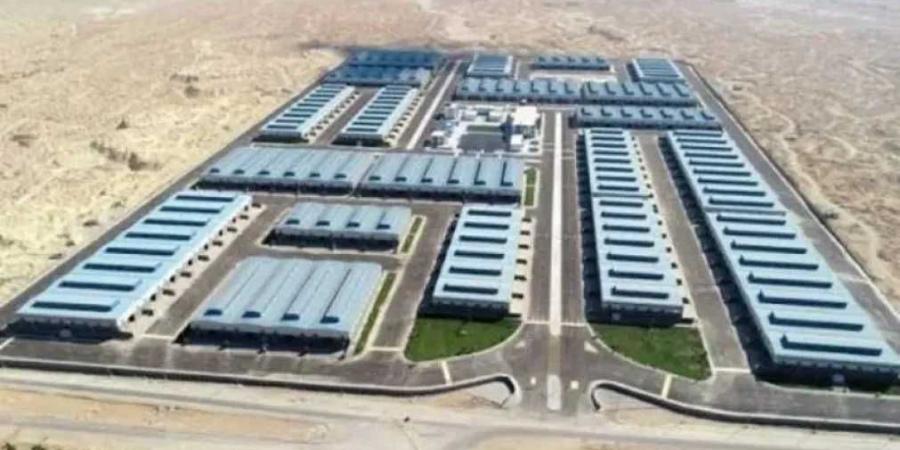 «صناعة الأخشاب»: إلغاء شرط الـ3 سنوات يمنح المستثمرين مرونة أكبر.. وندعو لاستغلال المهلة قبل نهاية ديسمبر