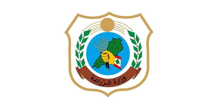 زيت الزيتون في النبطية مطابق للمواصفات.. والمزارعون يطالبون بدعم تصريف الإنتاج