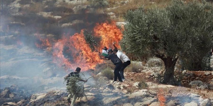 تقرير مصور | تصعيد اعتداءات الاحتلال في الضفة الغربية المحتلة