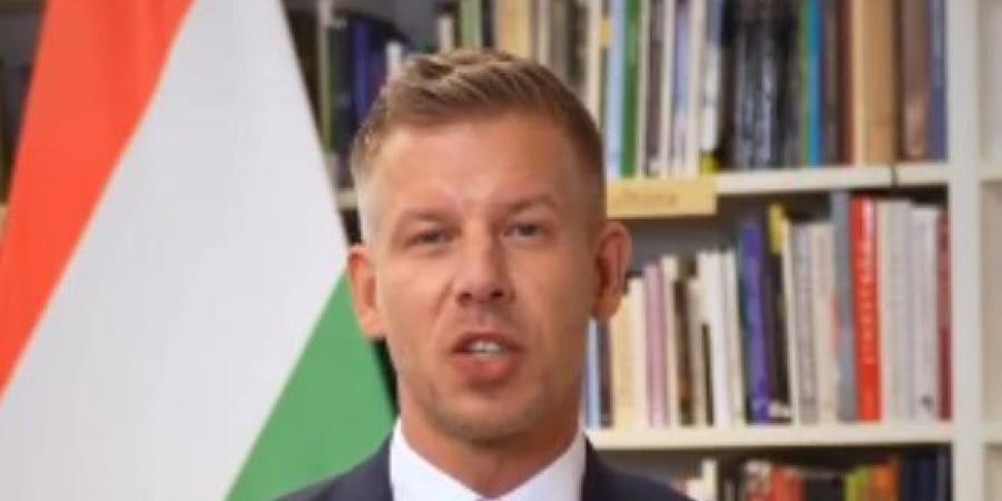 المجر تقدم الشكر لفخامة الرئيس السيسى على جهود تعزيز السلام بالشرق الأوسط وأوروبا :اليوم السابع