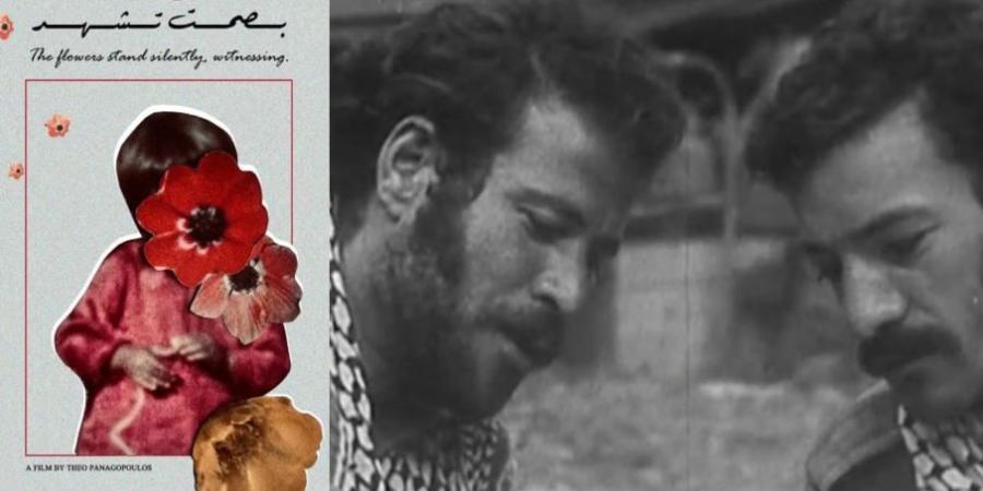 بالتزامن مع الذكرى 109 لوعد بلفور.. ماذا يضم برنامج أفلام فلسطين في القاهرة؟