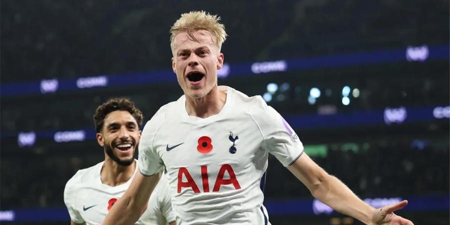 فيديو | فان هيكي يسجل هدف توتنهام الثاني أمام كريستال بالاس