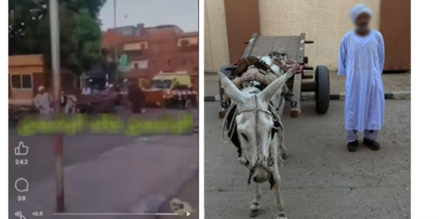 الداخلية تضبط سائق «كارو» تسبب في توقف قطار عقب عبوره مزلقاناً مغلقاً بأسوان