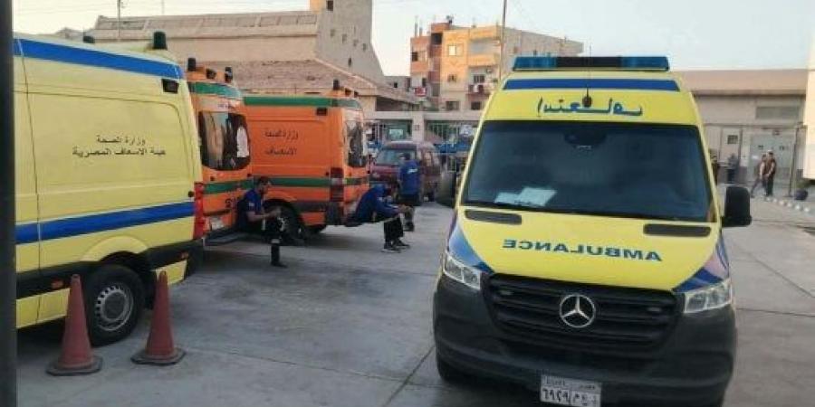 النيابة تأمر بعرض سائق تسبب في وفاة فتاة الأزبكية على الطب الشرعي :اليوم السابع