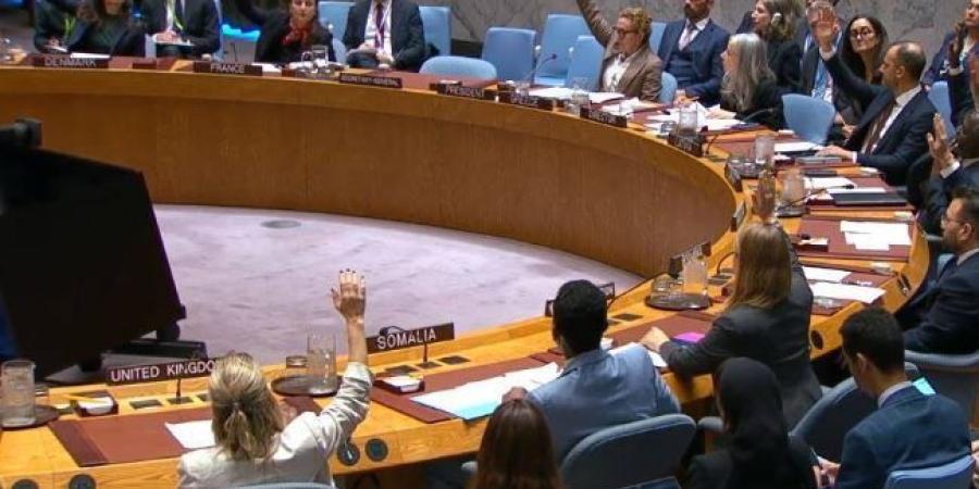 مجلس الأمن يمدد بعثة الأمم المتحدة في ليبيا حتى أكتوبر 2027 ويدعو لانتخابات وتوحيد المؤسسات