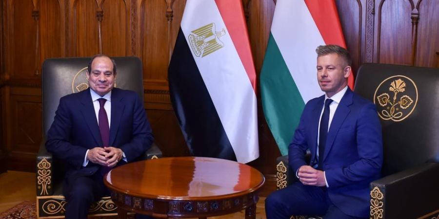 برلماني: تحركات الرئيس السيسي الخارجية تعزز مكانة مصر الدولية وتفتح آفاقًا جديدة للشراكات الاستراتيجية