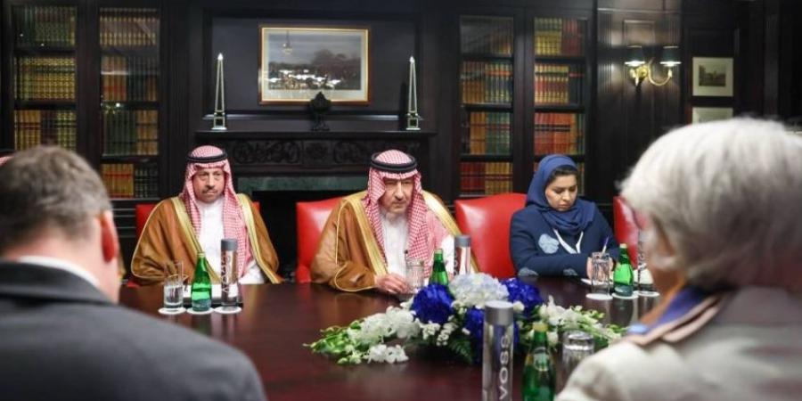 نائب وزير الخارجية يلتقي المبعوثة الخاصة للاتحاد الأوروبي للقرن الأفريقي