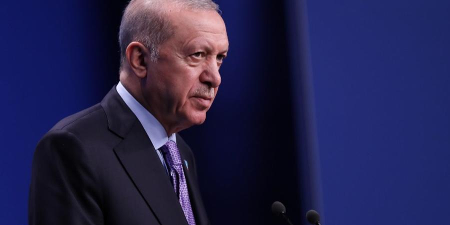 إردوغان يرفض استهداف السفن المدنية في البحر الأسود ويؤكد استعداد تركيا لدعم مسار السلام