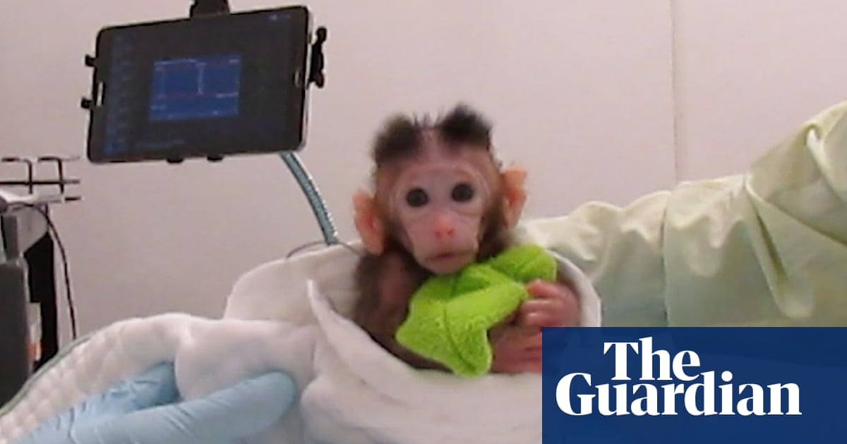 أصدرت منظمة بيتا مقطع فيديو يظهر تجارب على القرود الرضع في جامعة واشنطن