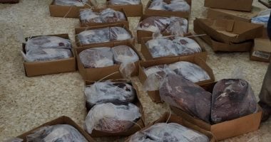 "تموين بنها" يضبط 1.8 طن كبدة وأسماك متغيرة في خواصها الطبيعية ببنها