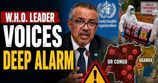 "CDC": علماء متخصصون فى إيبولا يحققون فى منشأ الإصابة بالفيروس بنيجيريا