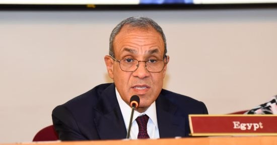 وزير الخارجية يناقش ملفات إقليمية مع نظيره الإماراتى ويثمن ترشح نسيبة للأمم المتحدة