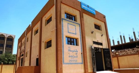 صندوق الخدمة الشاملة.. كيف تصل شبكات المحمول إلى قرى حياة كريمة؟