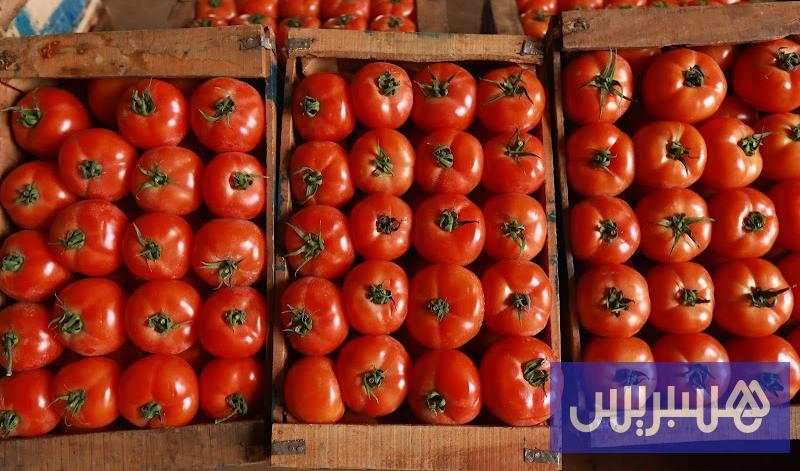 أسعار الطماطم تحلق عاليا بالأسواق .. ومهنيون ينفون مسؤولية التصدير في مصر اليوم الخميس 29 أكتوبر 2026